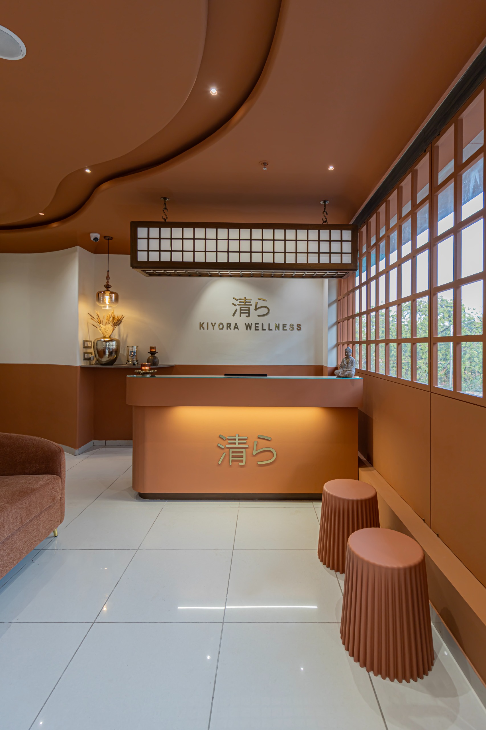 Luxury Wellness Treatment